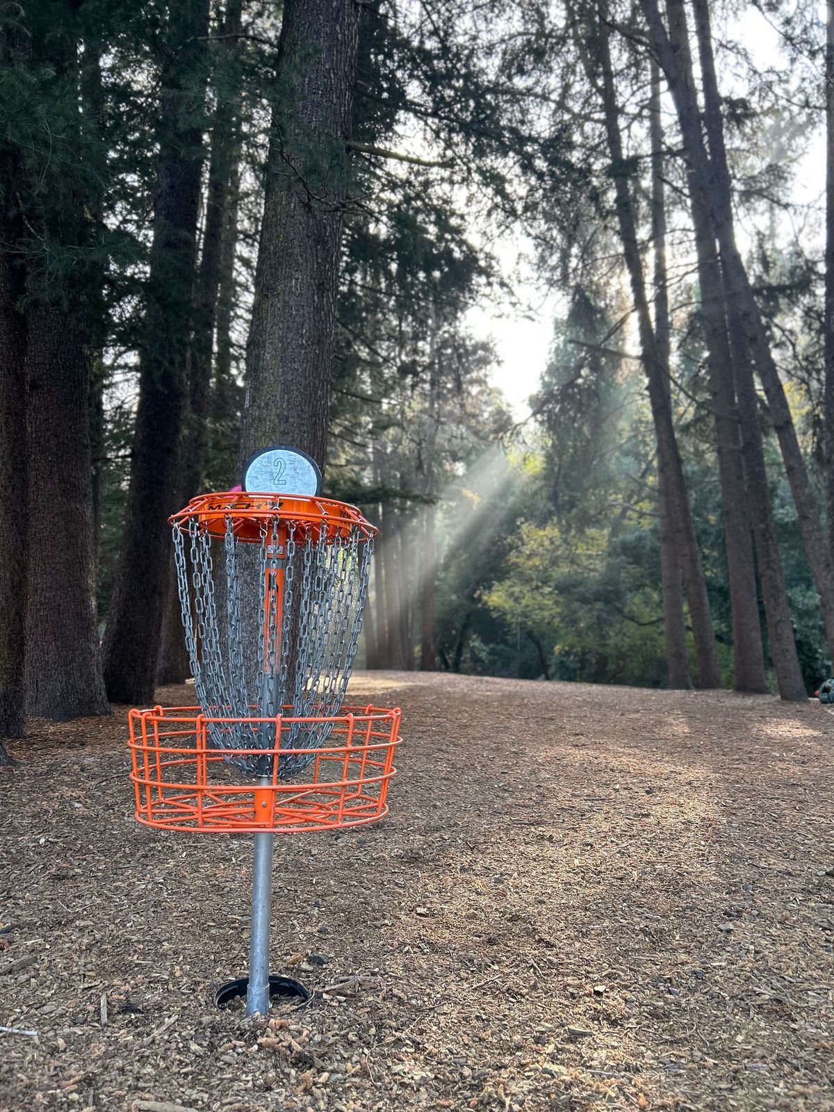 Early morning rays on Hole 2’s basket