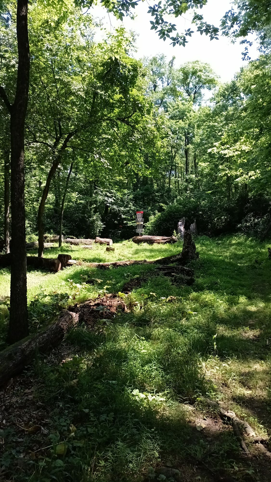 Hole. 12