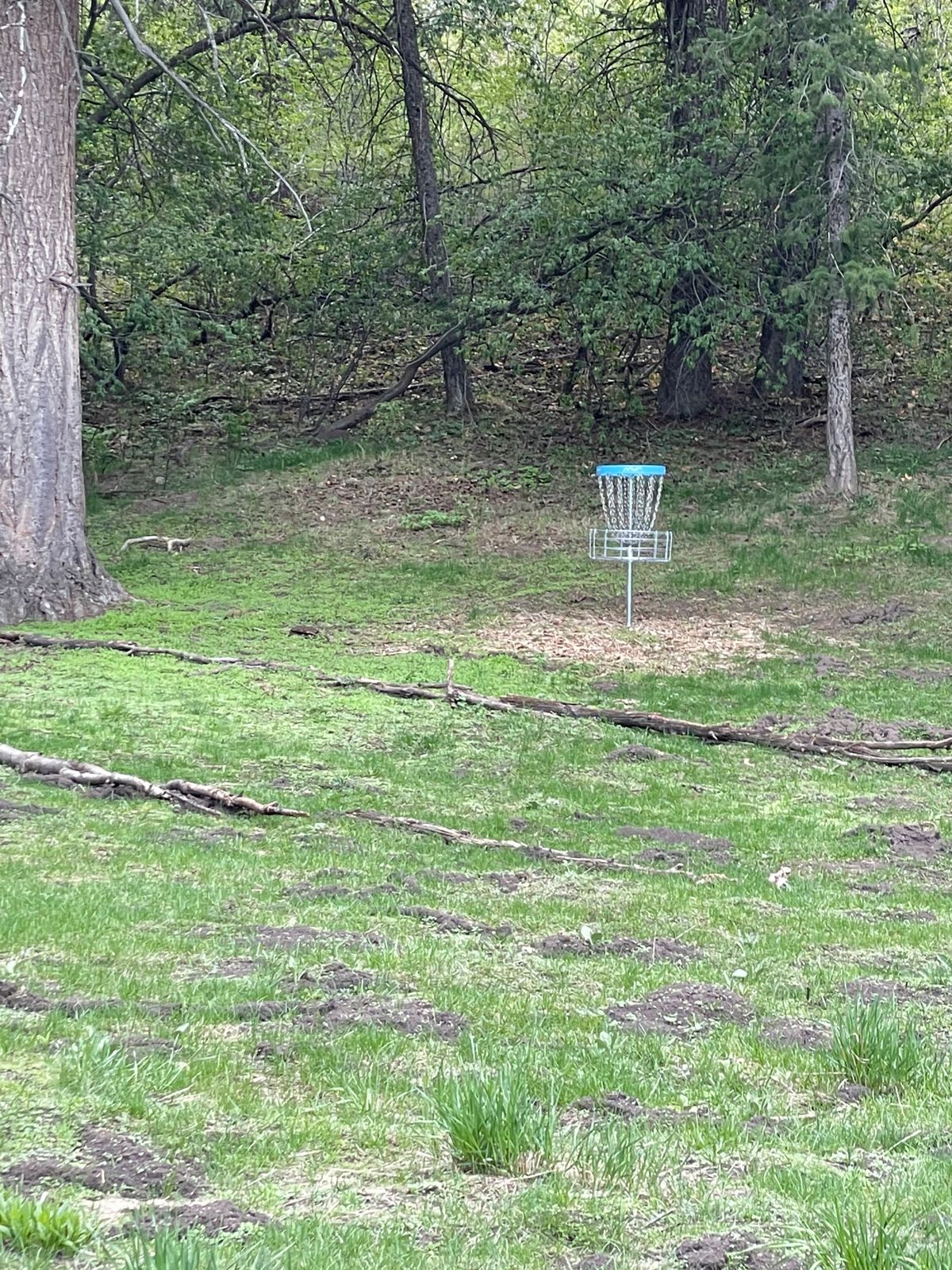 Basket Hole 11 A