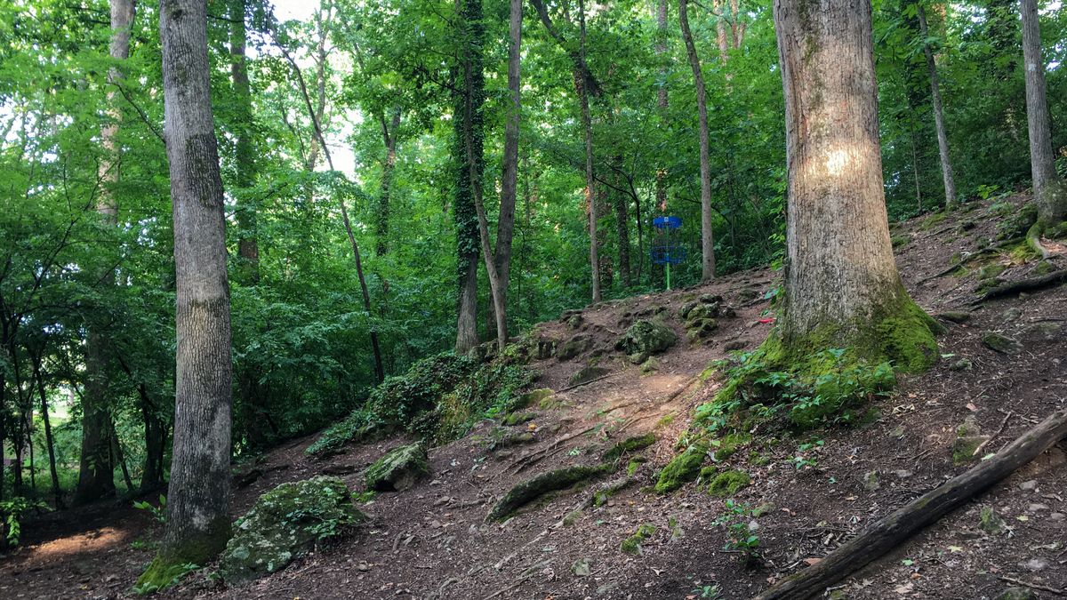 Hole 8