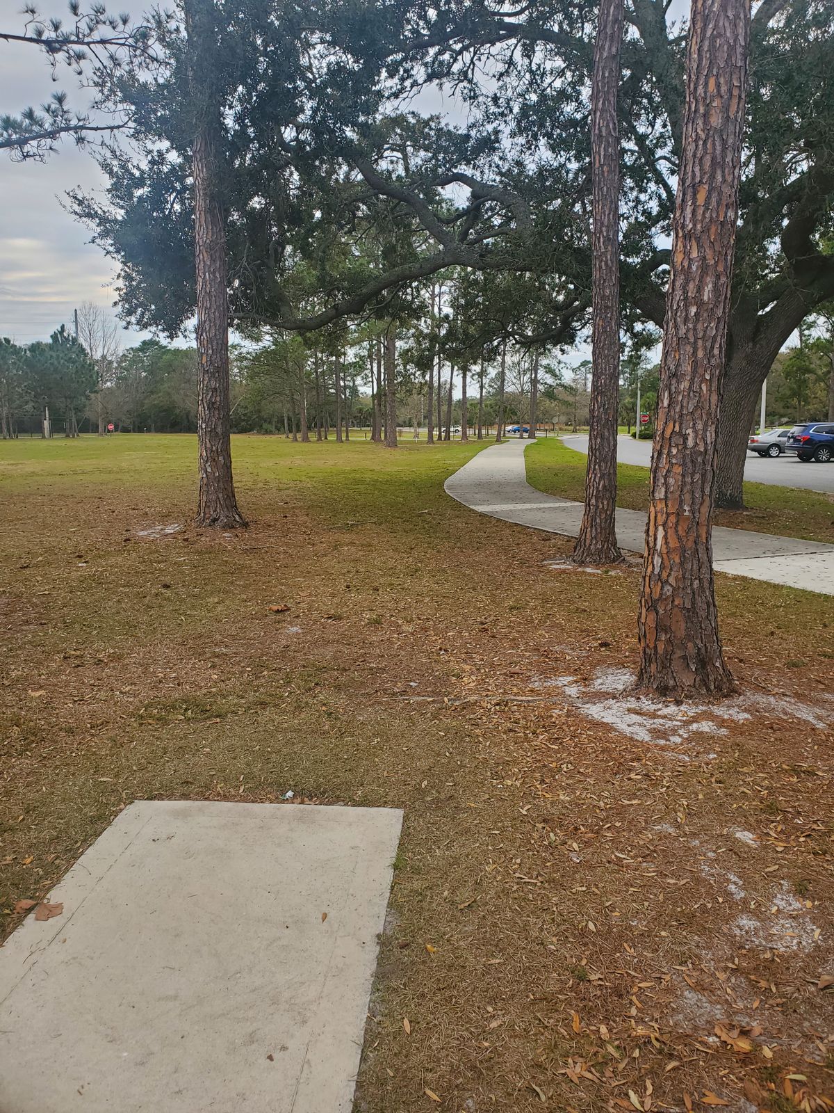 Hole 3