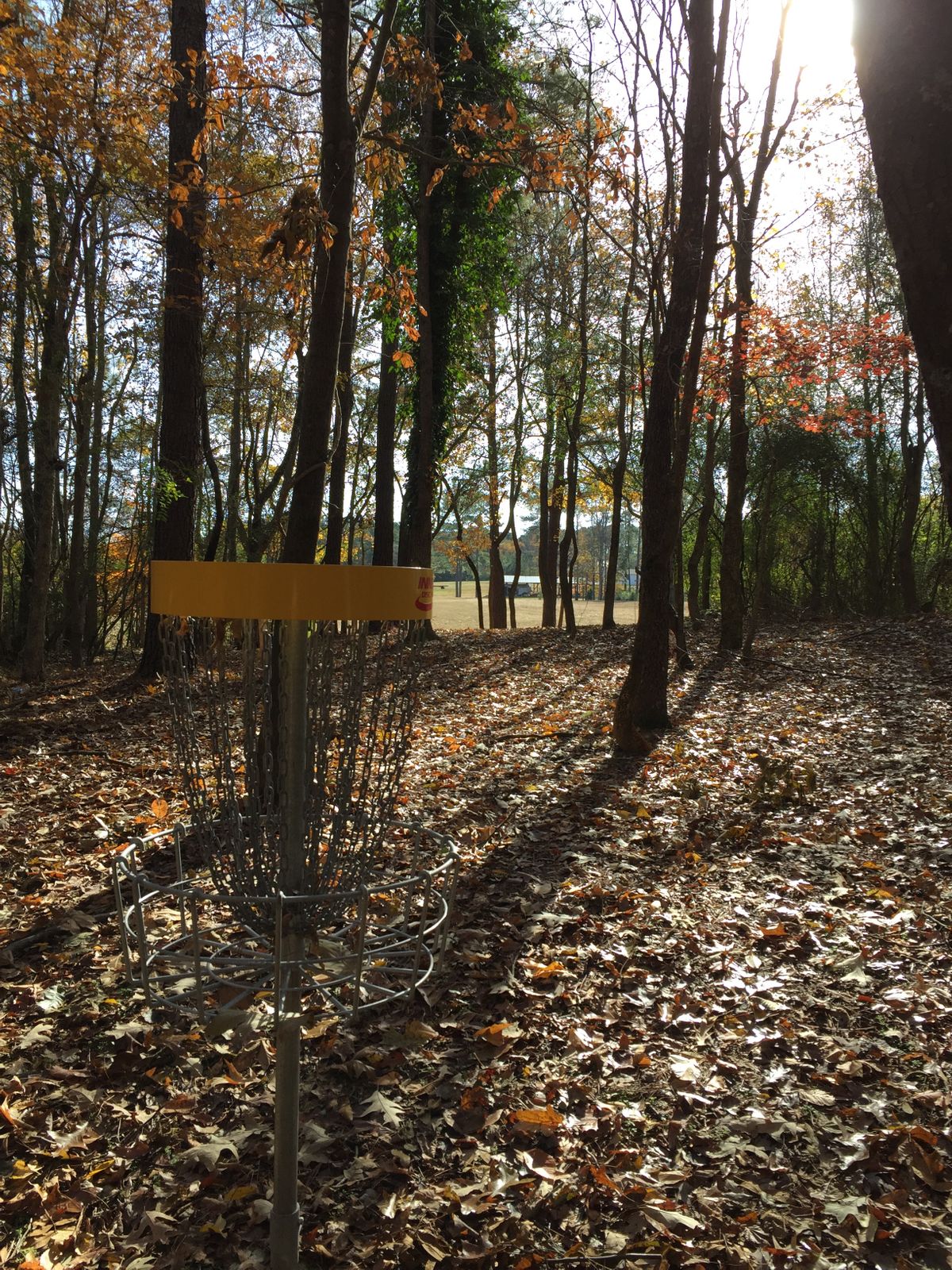 Hole #8 Basket to Tee