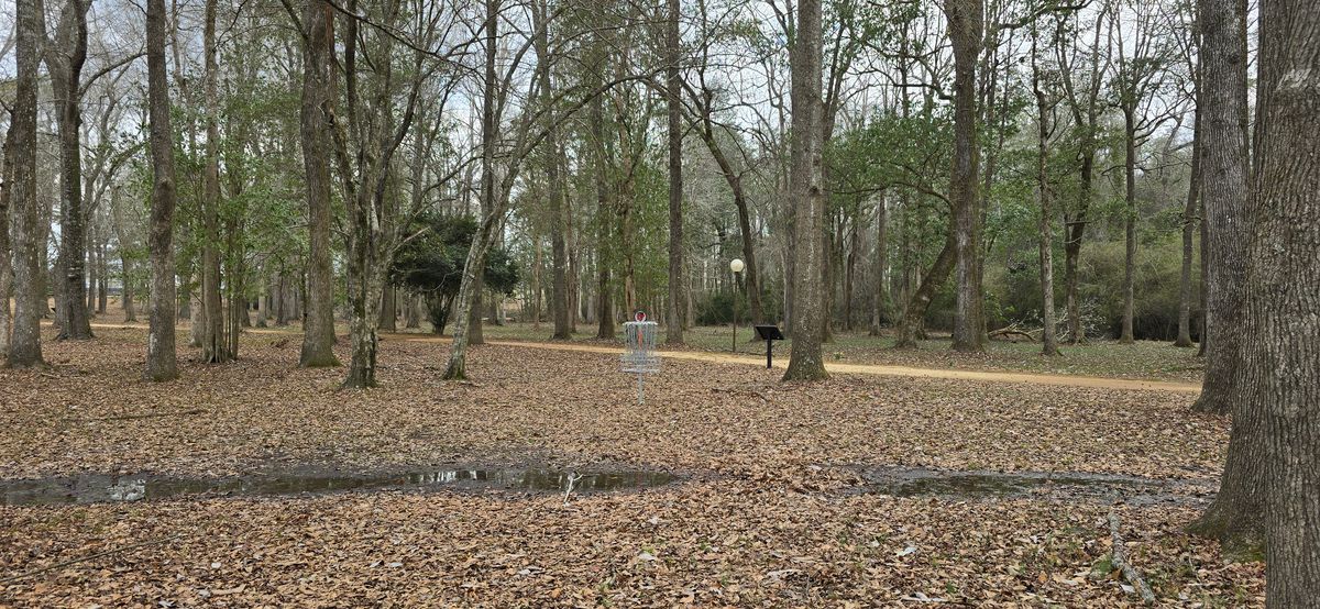 Basket location for hole 17