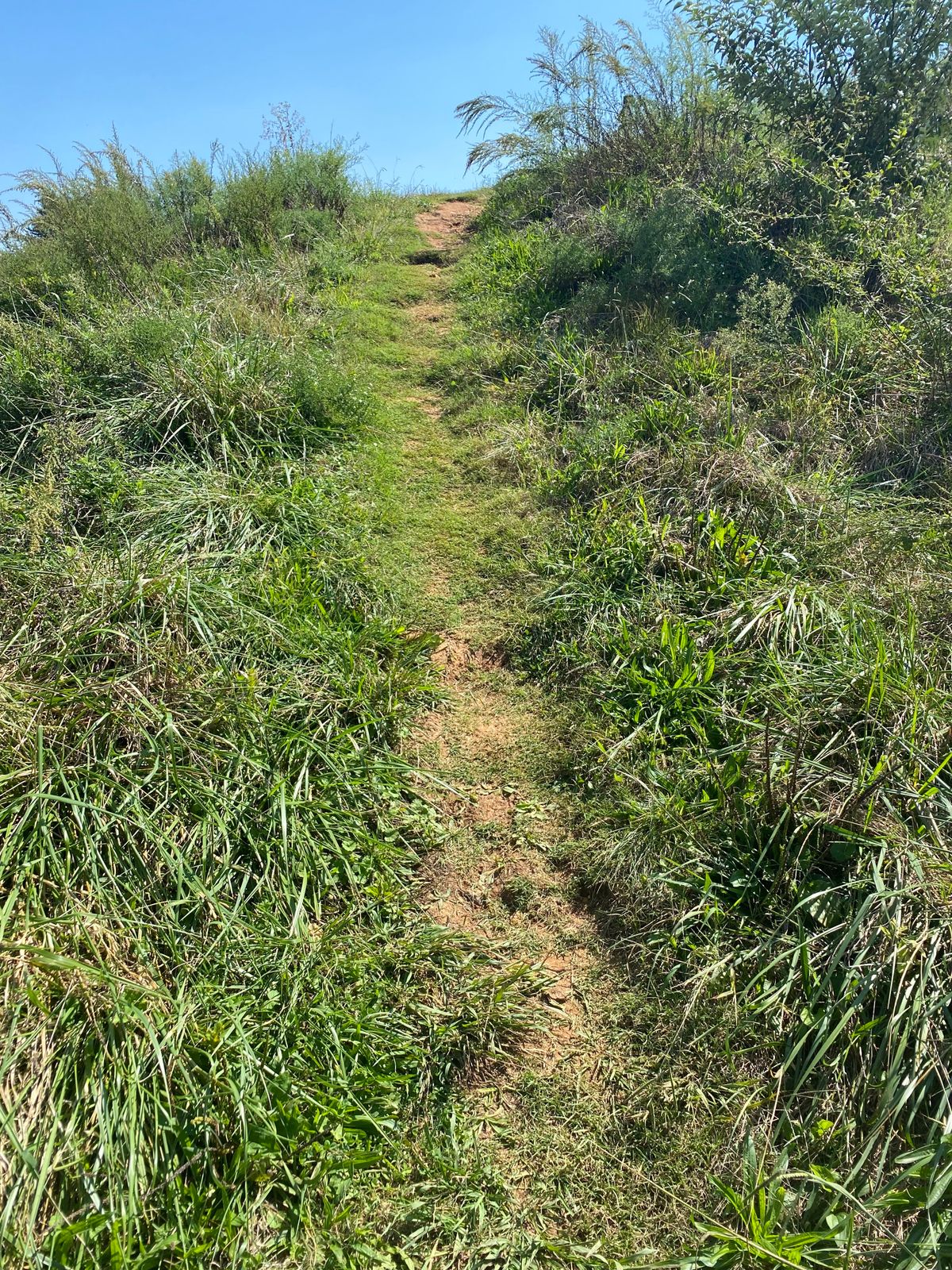 Hill to hole 9