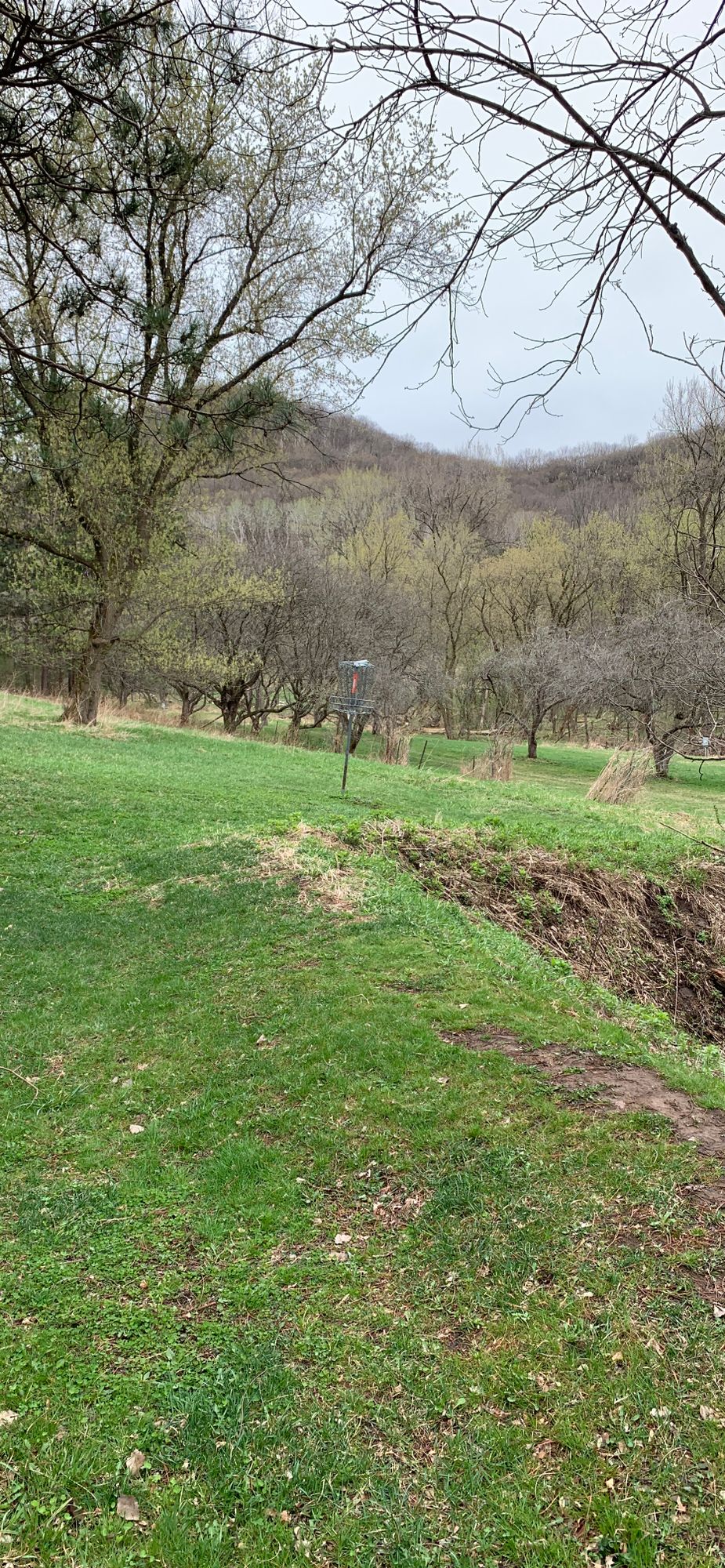 6 approach. Yes, the pin is slanted with the hill.