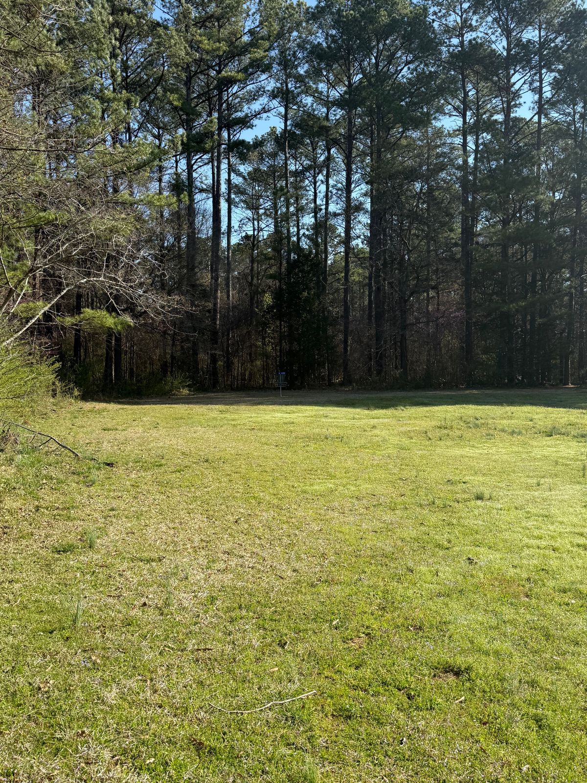 Fairway view