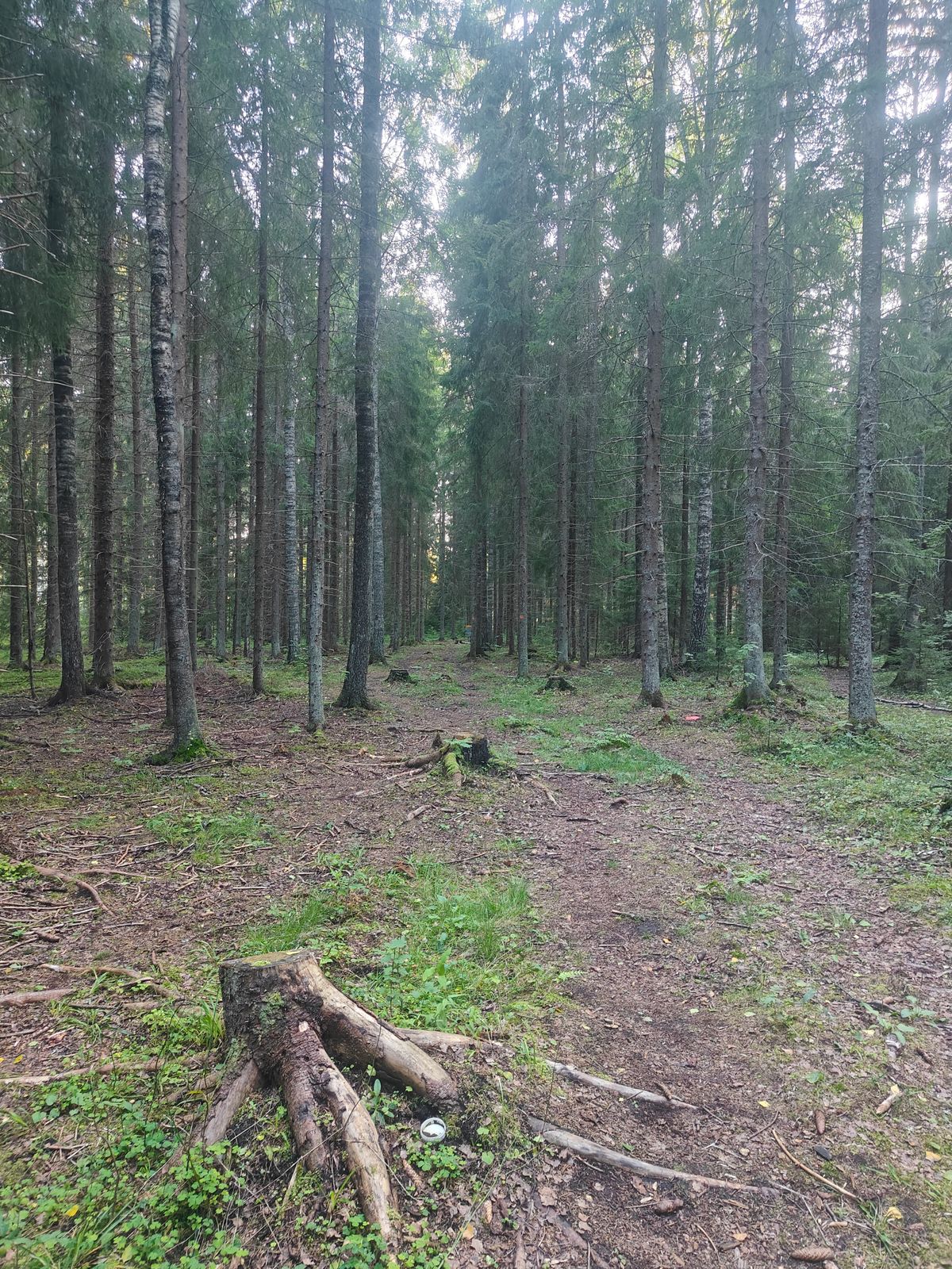 Väylä #17 vajaa puolesta välistä