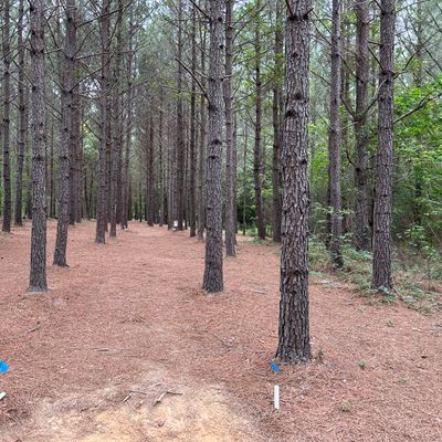 Hole 17