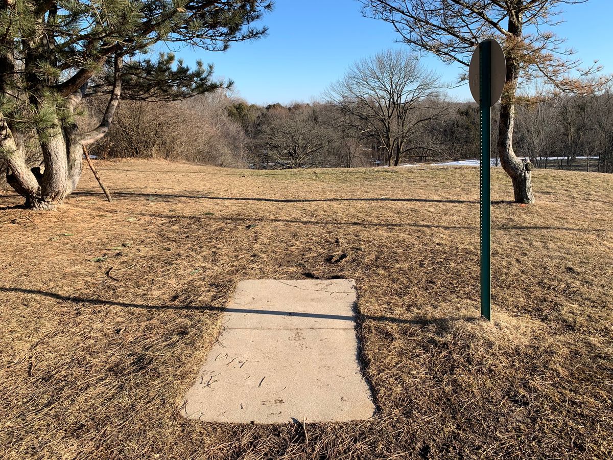 Hole 7 tee. Basket is straight ahead and bottom of hill, close to road.