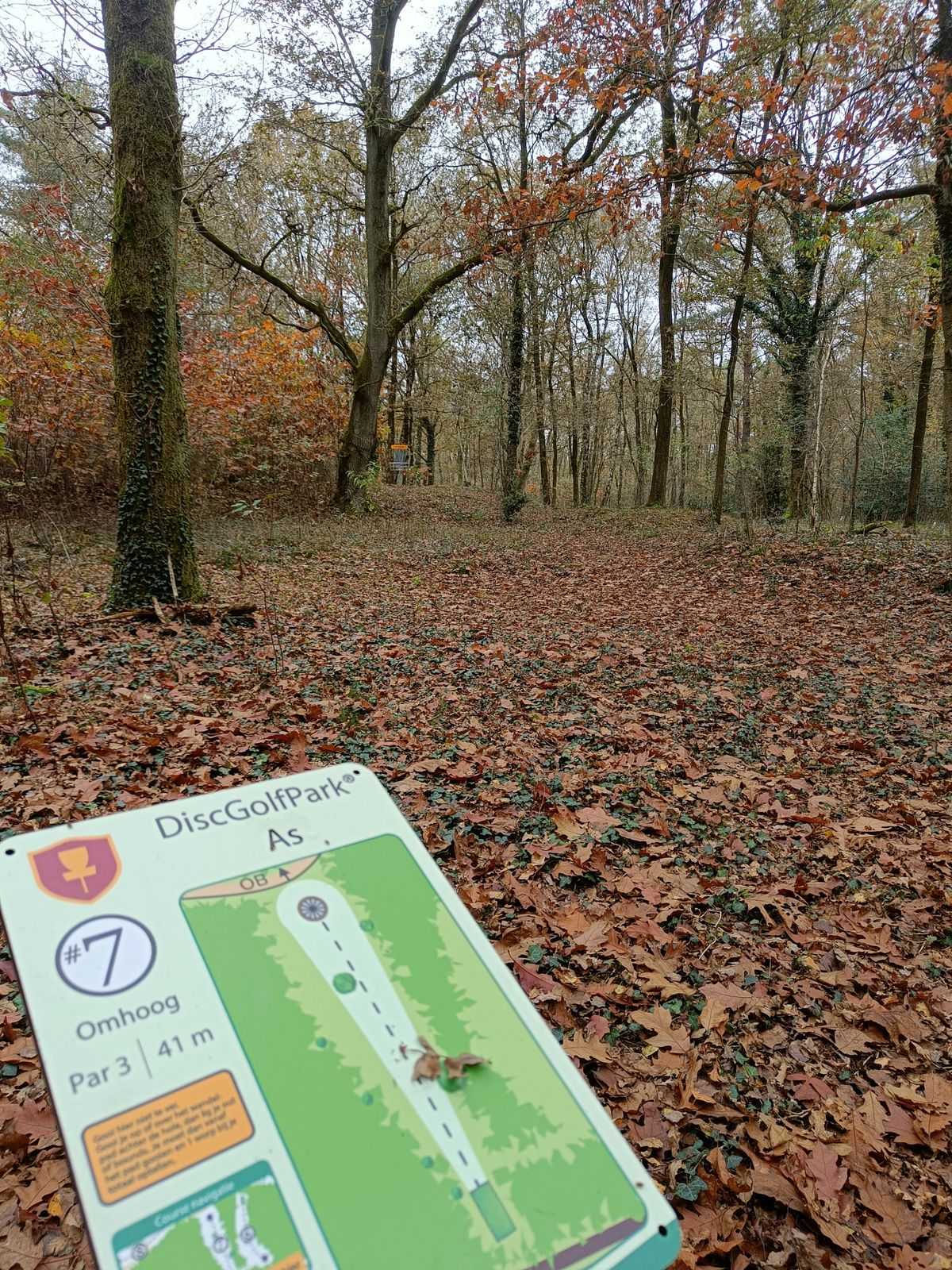 Hole 7