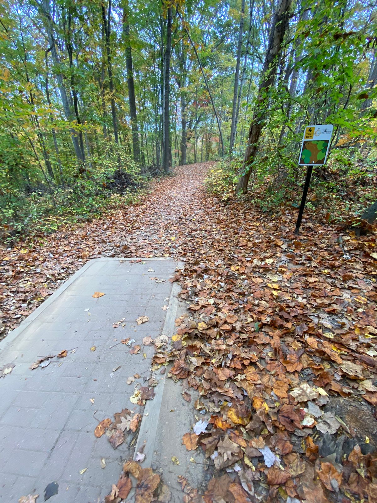 Hole 4