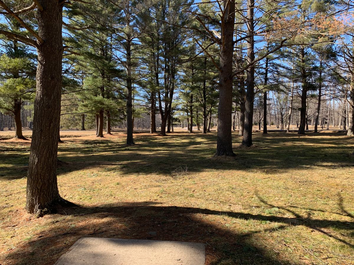 Hole 13 tee