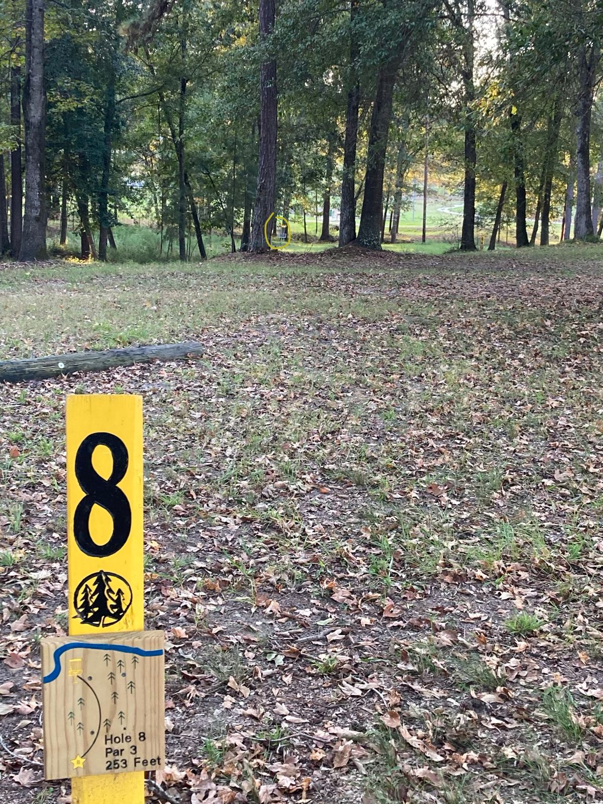Hole 8