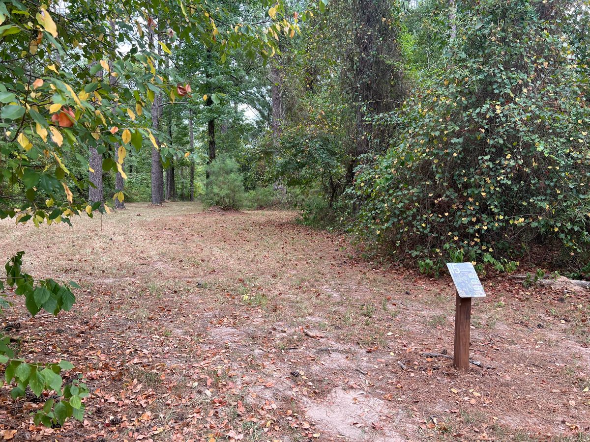 Hole 15 tee