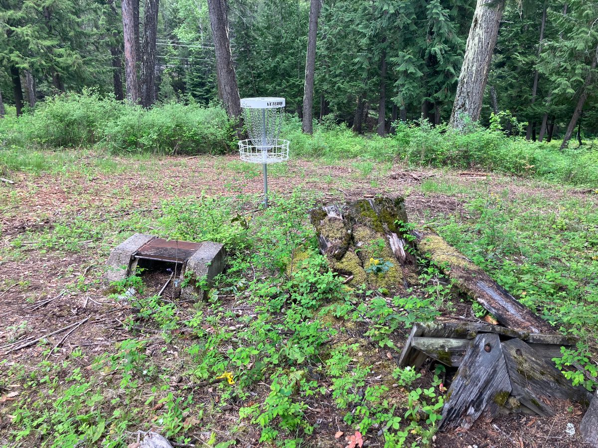 Hole 14 basket