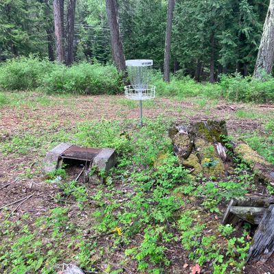 Hole 14 basket