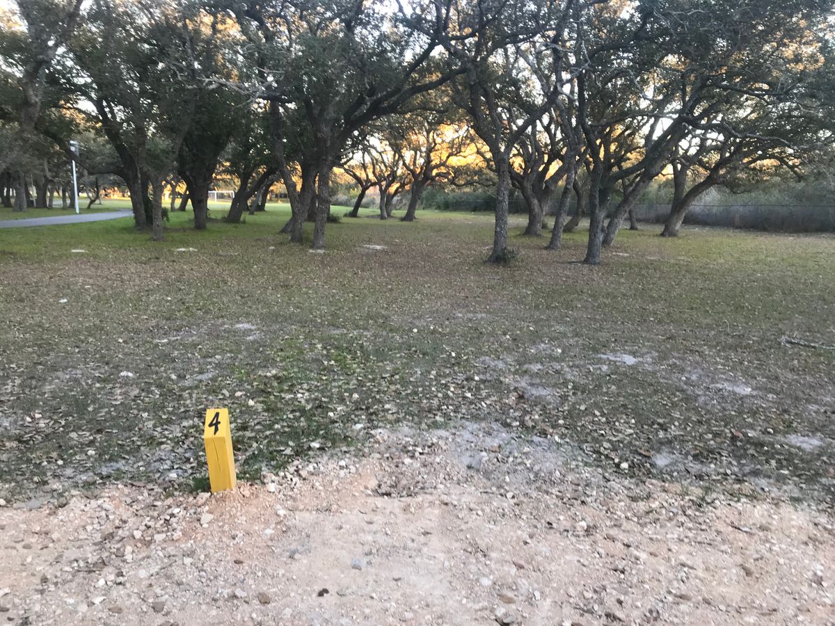 Tee 4