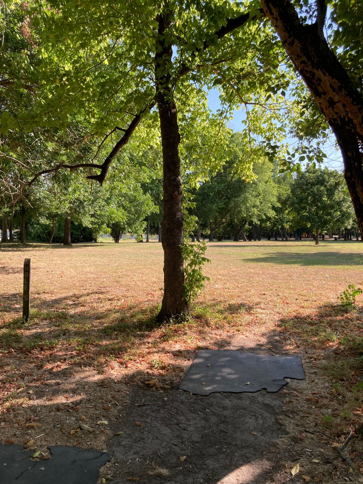 Hole 5