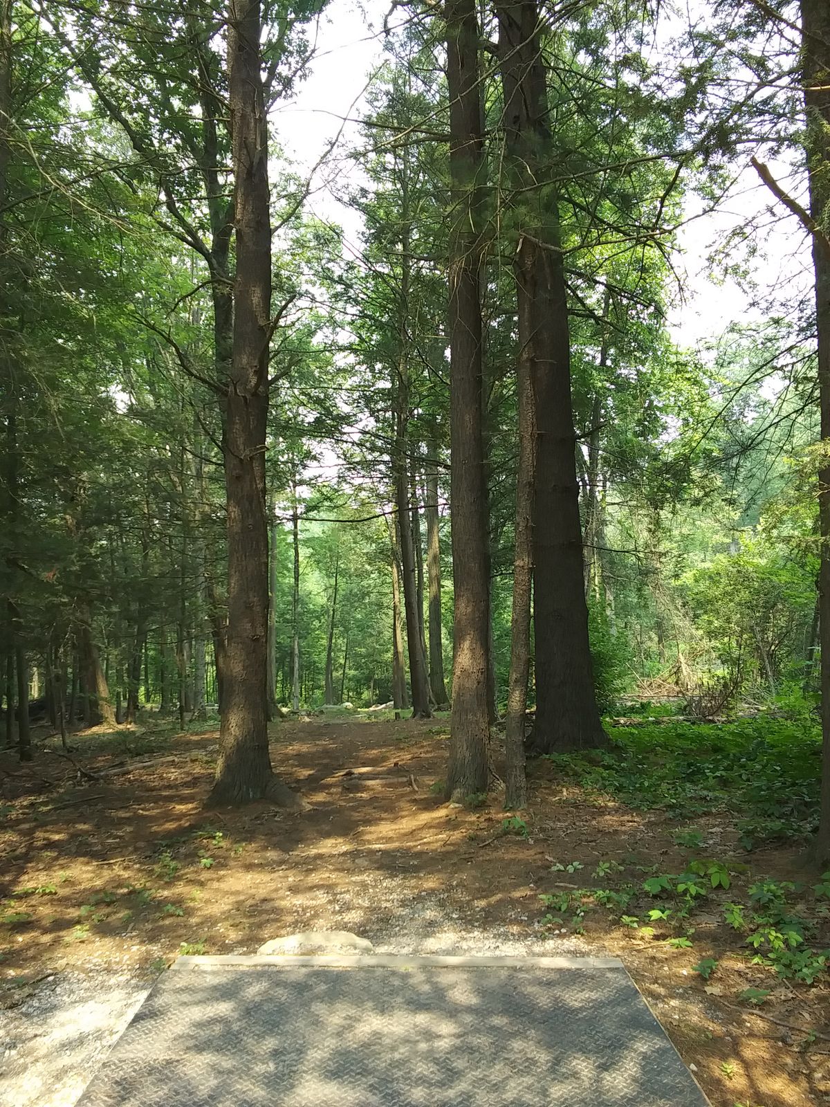 Hole 9 tee.