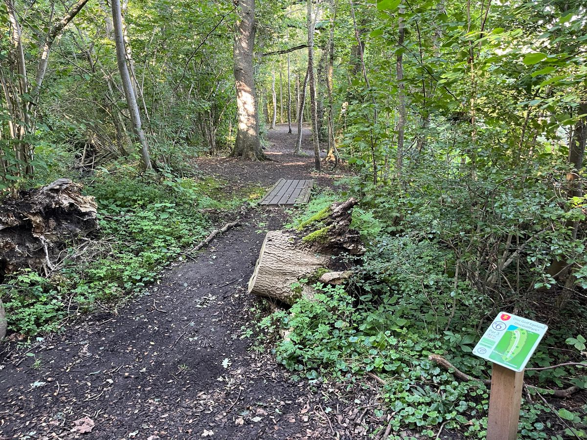 Hole 6