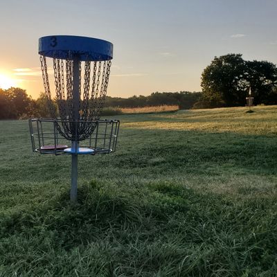 Basket 3, welcoming the sun.