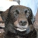 User avatar image