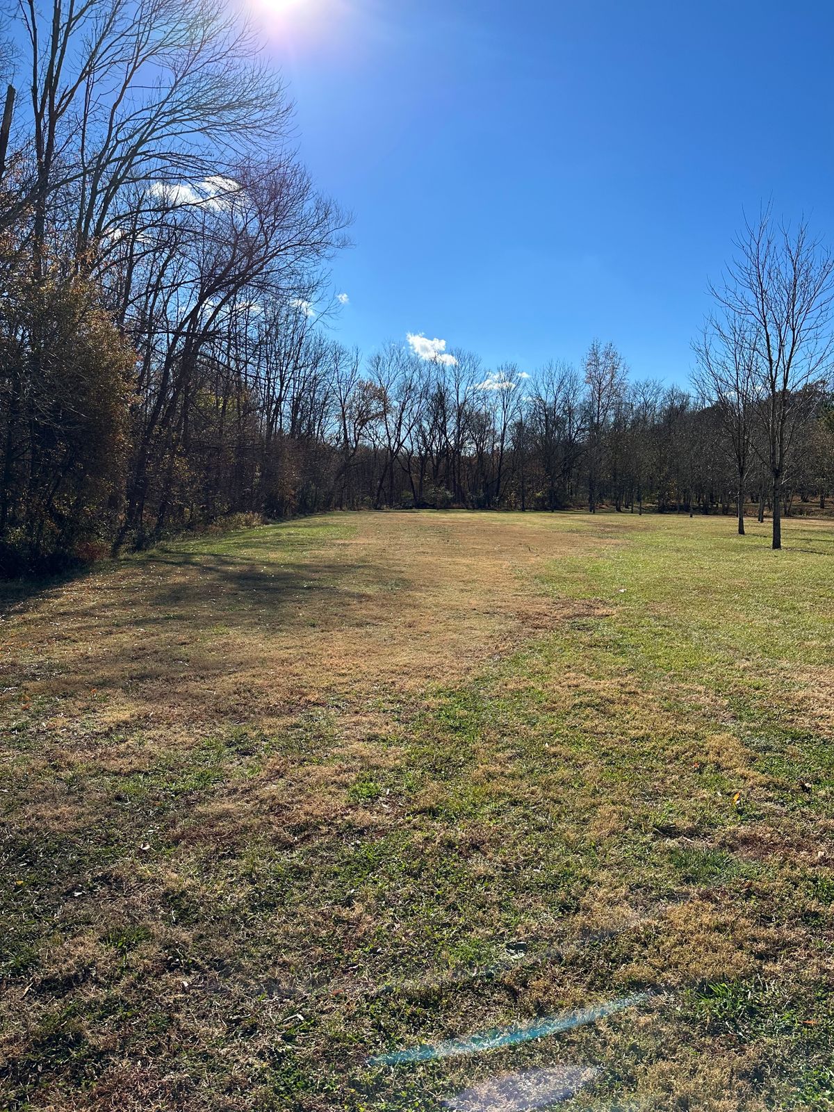 Hole 3 - Straight shot to the edge of the wood line.