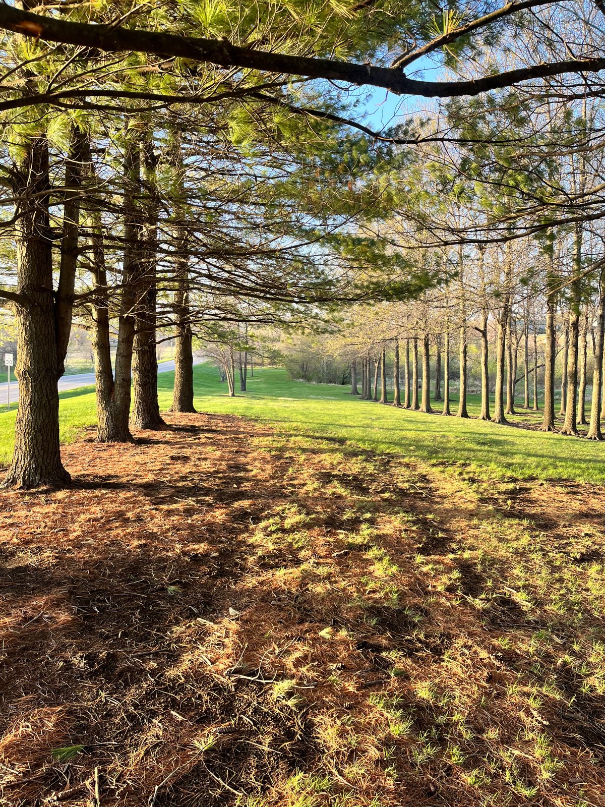 Hole 8 Fairway