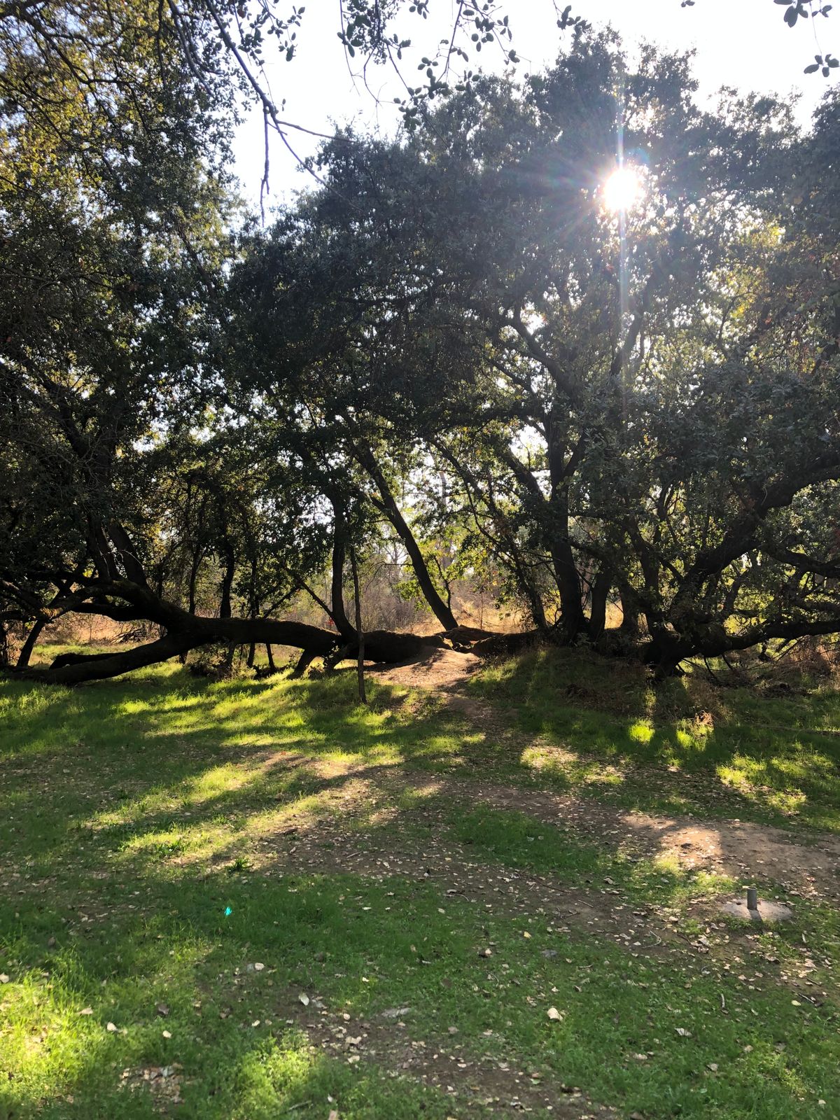 Hole 14