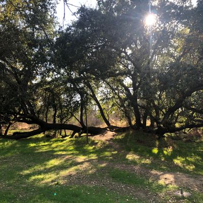 Hole 14
