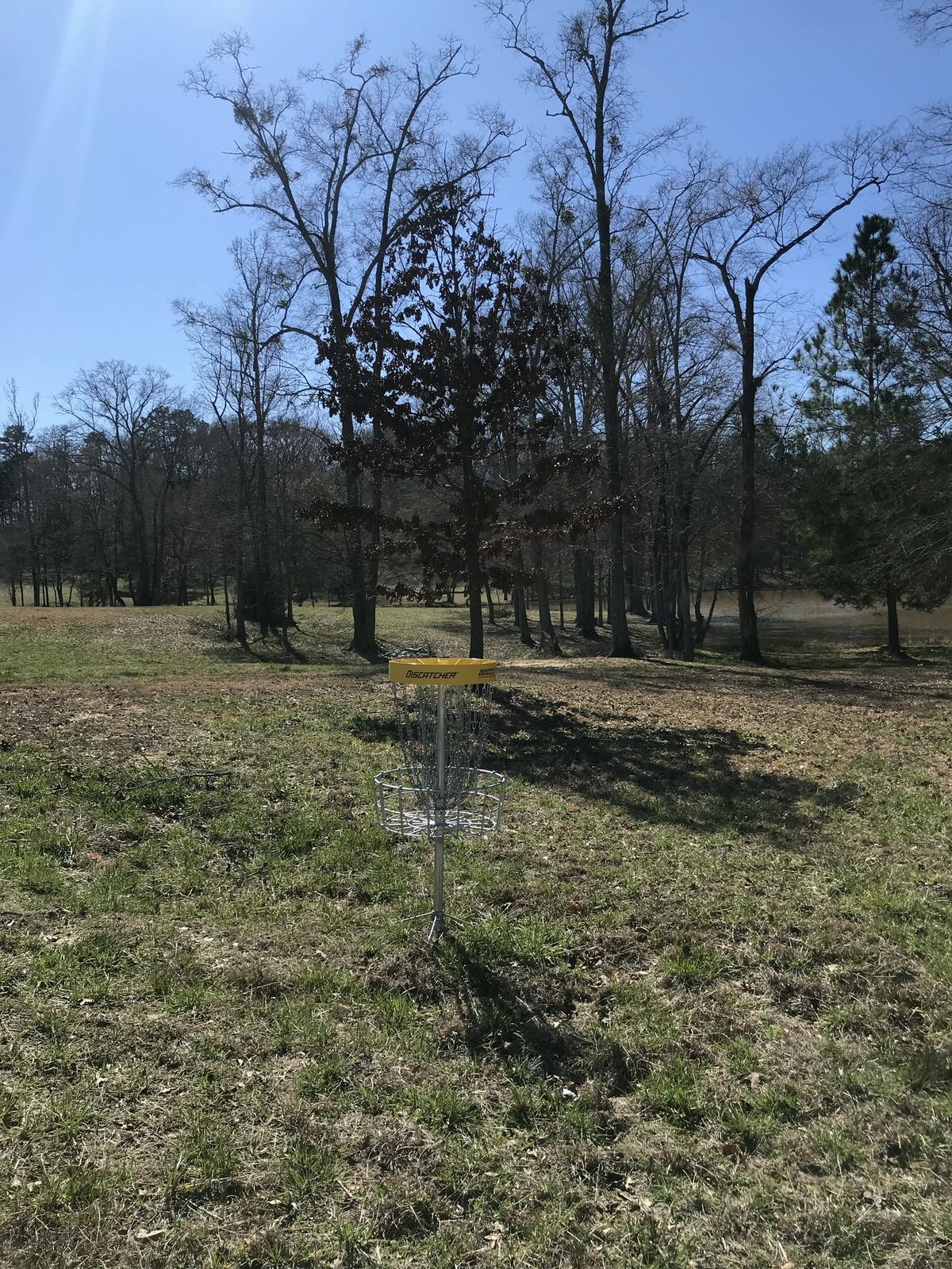 Hole 14 - basket to tee