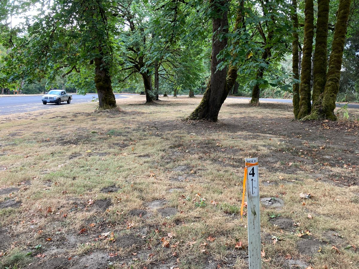 Holefour goes down the island to the tip of the grass and has lots of trees to navigate through