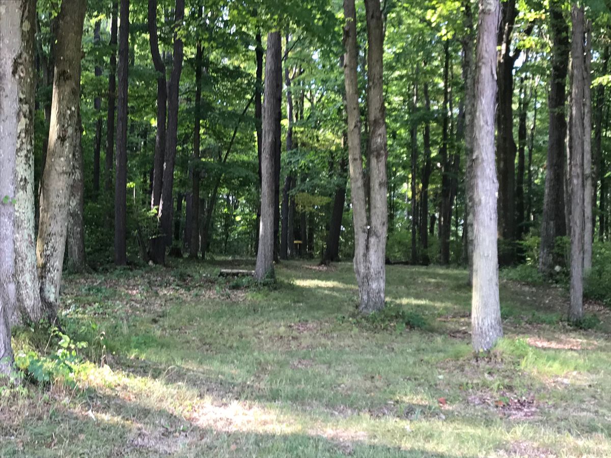 #10 fairway/basket