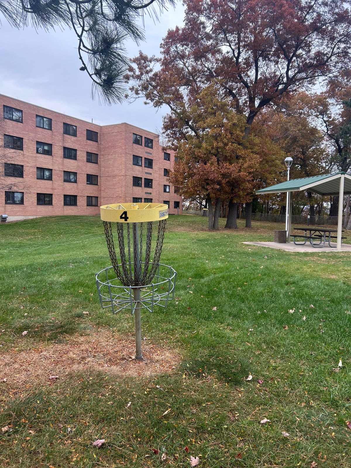 Hole 4 basket