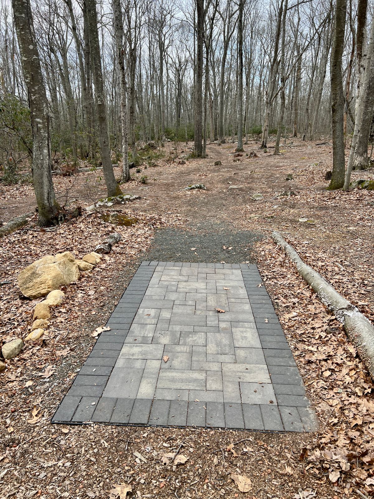 Tee Box #4
