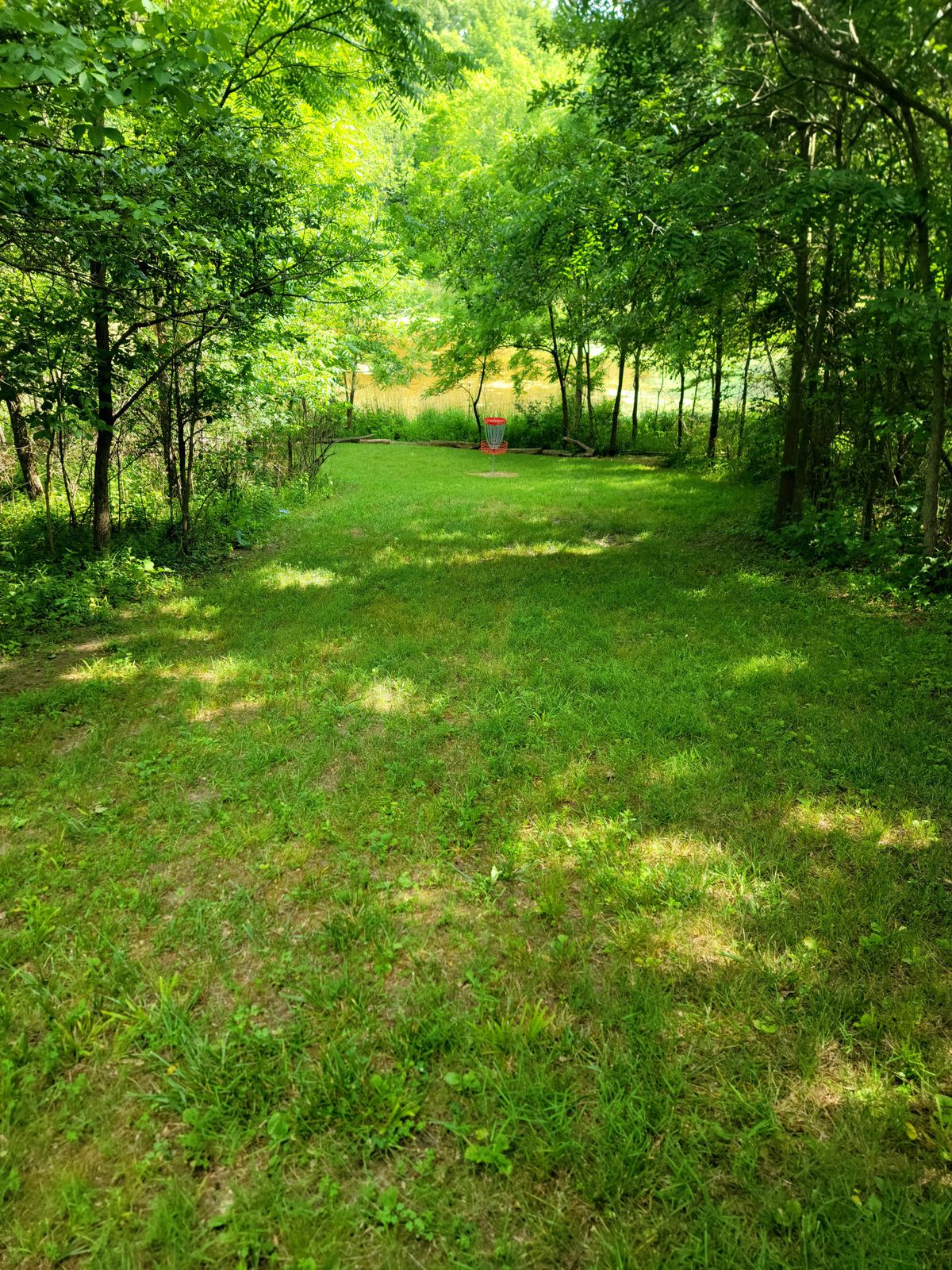 Hole 2's fairway looking down to the basket