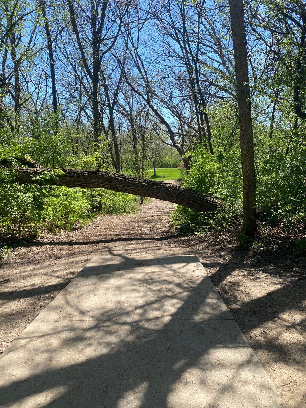 From the tee on Hole 16 at grey fox.
