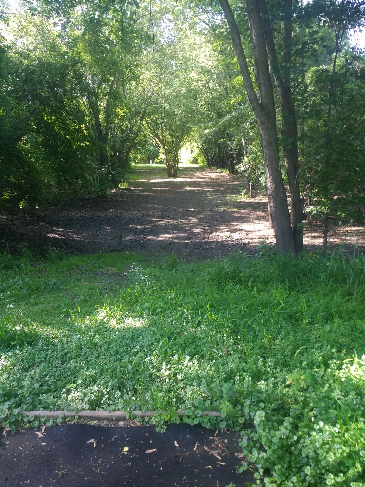 Hole 1 tee