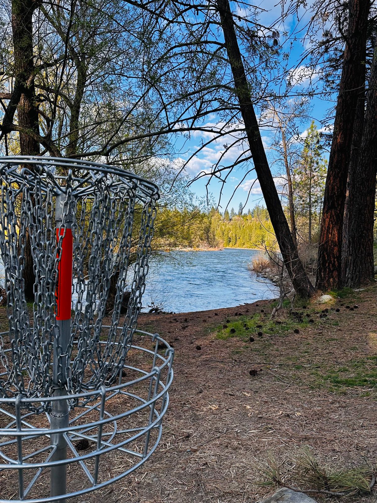 Basket at hole 10