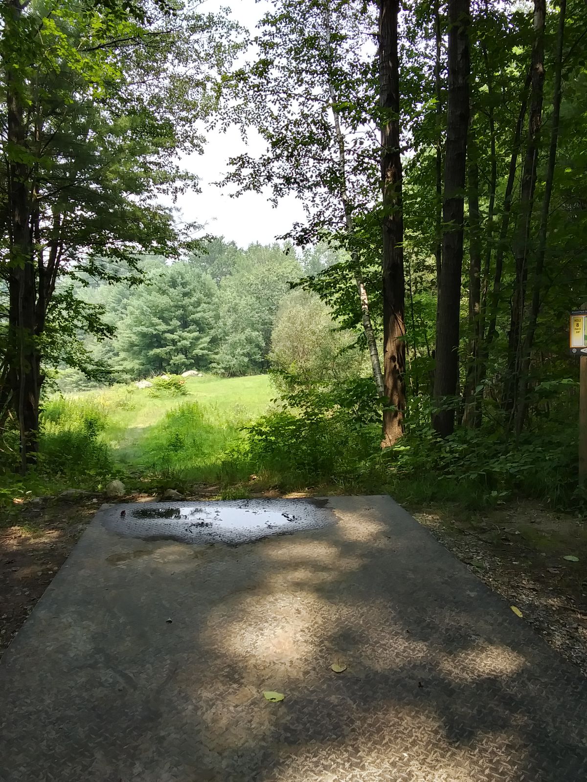 Hole 8 tee pad.