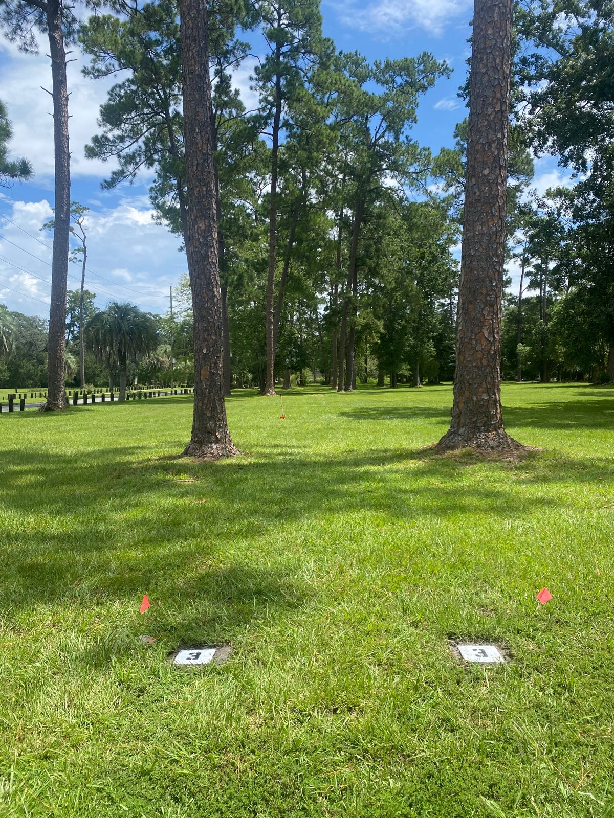 Hole 3 White Pad - 350 Feet