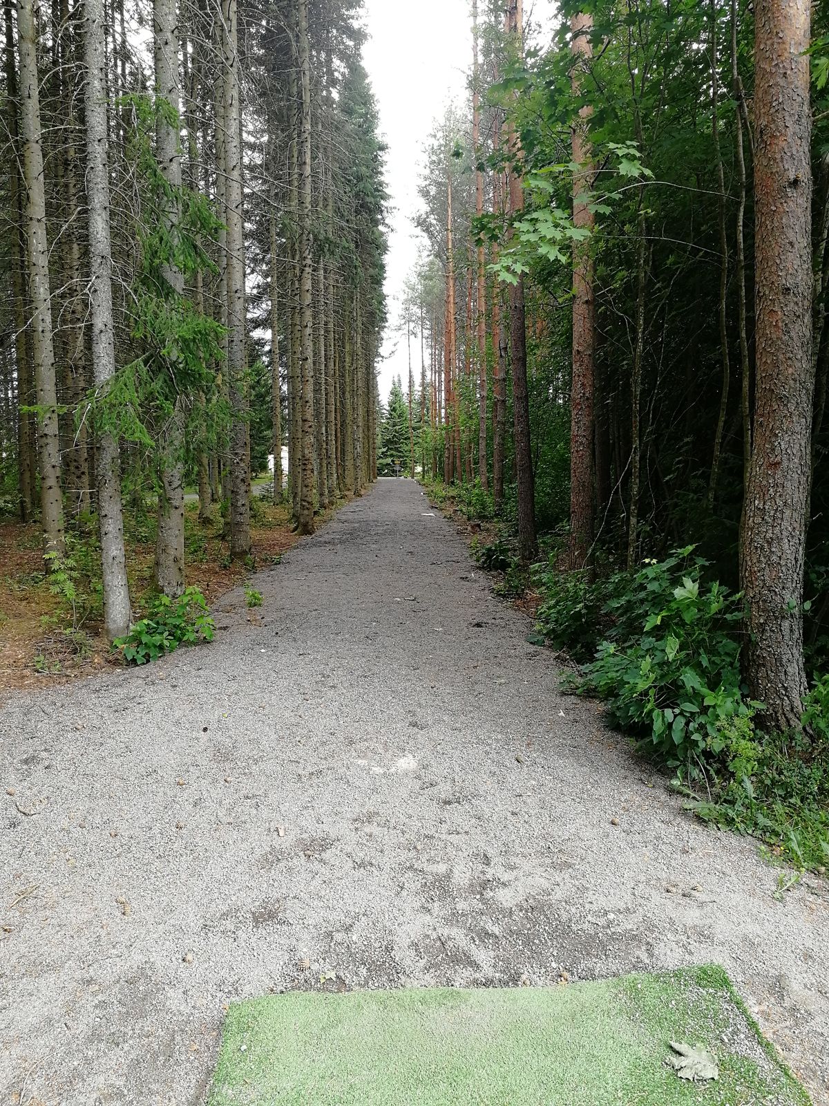 Väylä 4