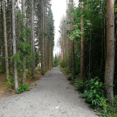 Väylä 4