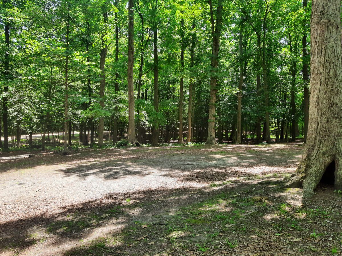 Hole 11 Fairway