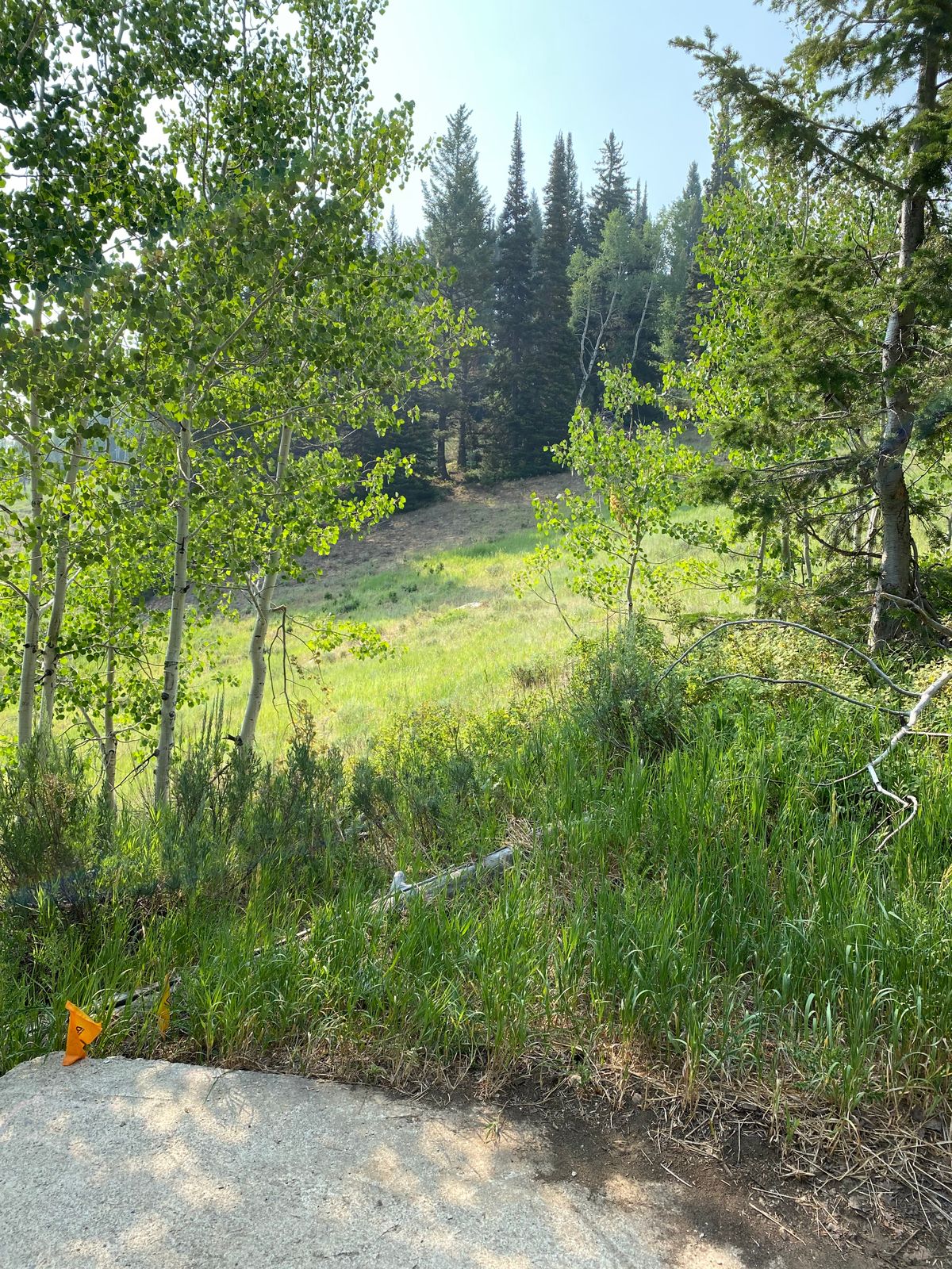Hole 5
