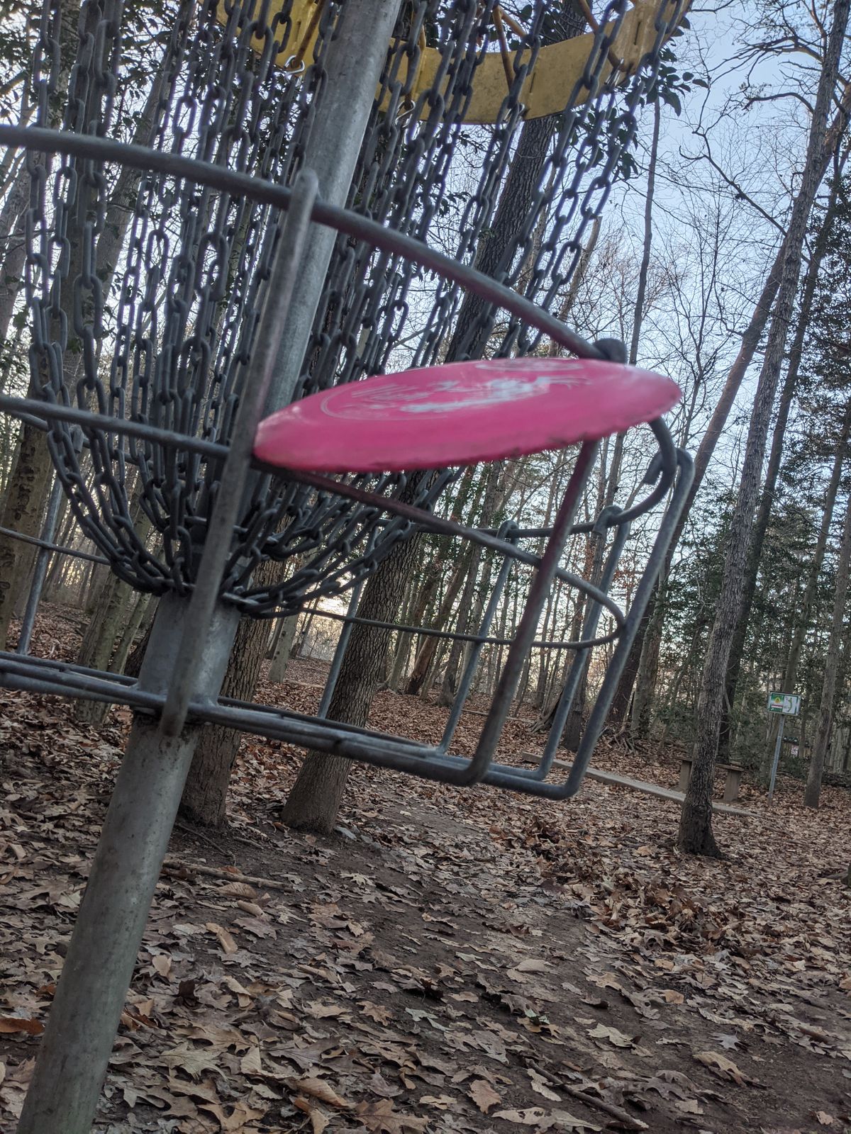 Would've been a nice ace if it was in...hole 7