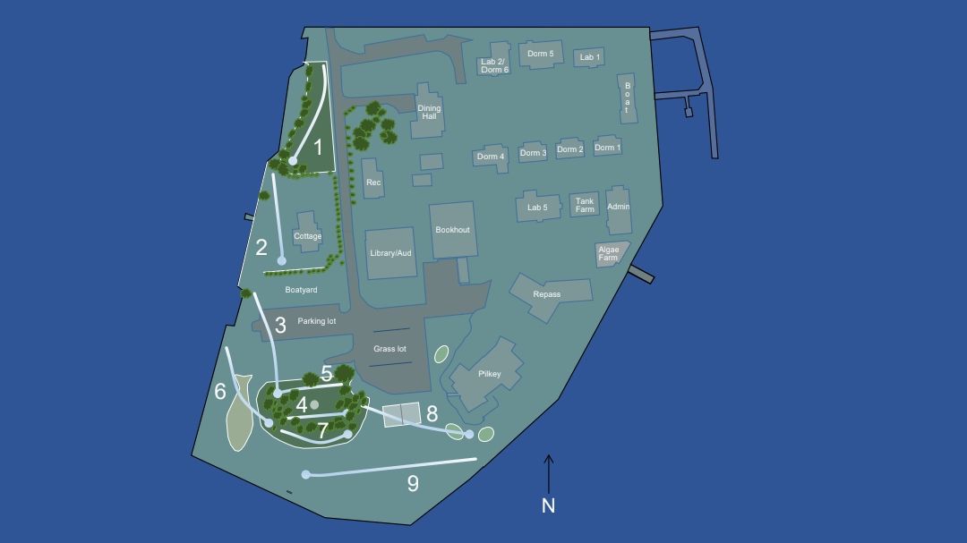 Course layout for Piver's Island DGC at DUML