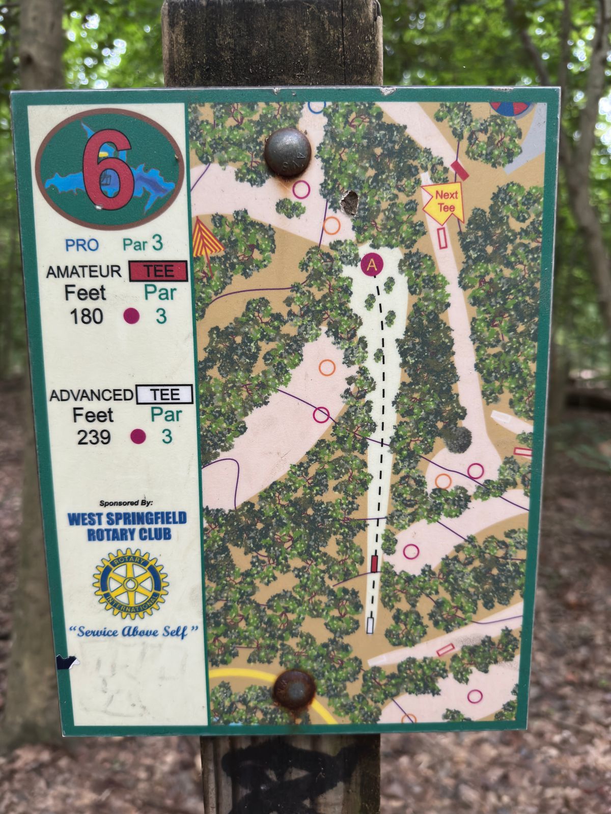 Hole 6 map
