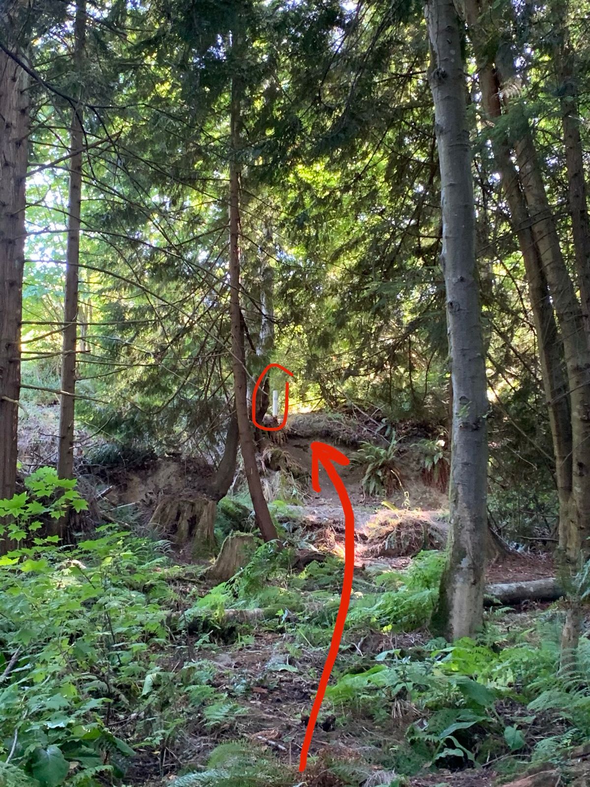 Hole 14: Teepee Time