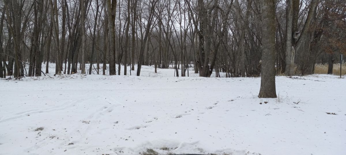 Hole eleven fairway.